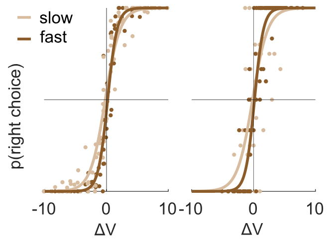 lespart_2026_metacognitive.png